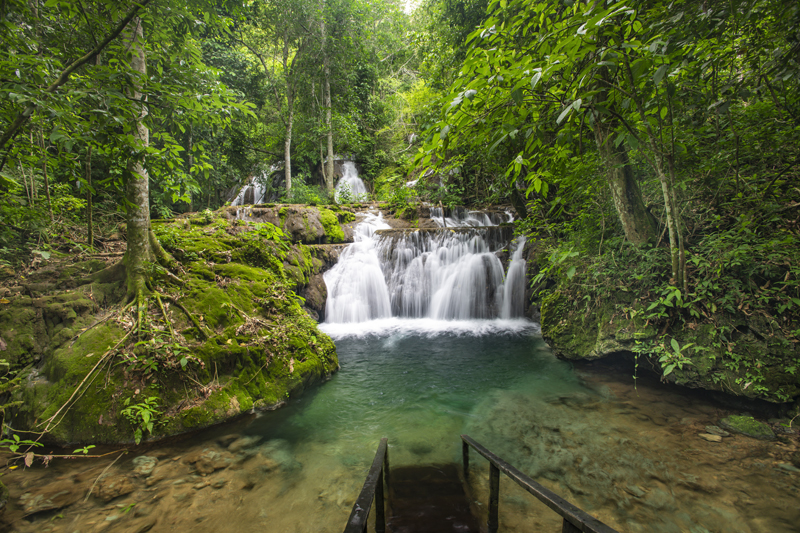 Bonito - Photo by Hudson Garcia (5)